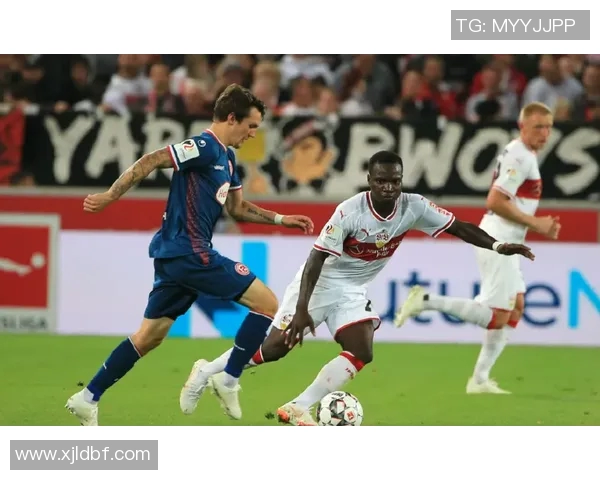 网坛与德甲:竞技格局差异显著